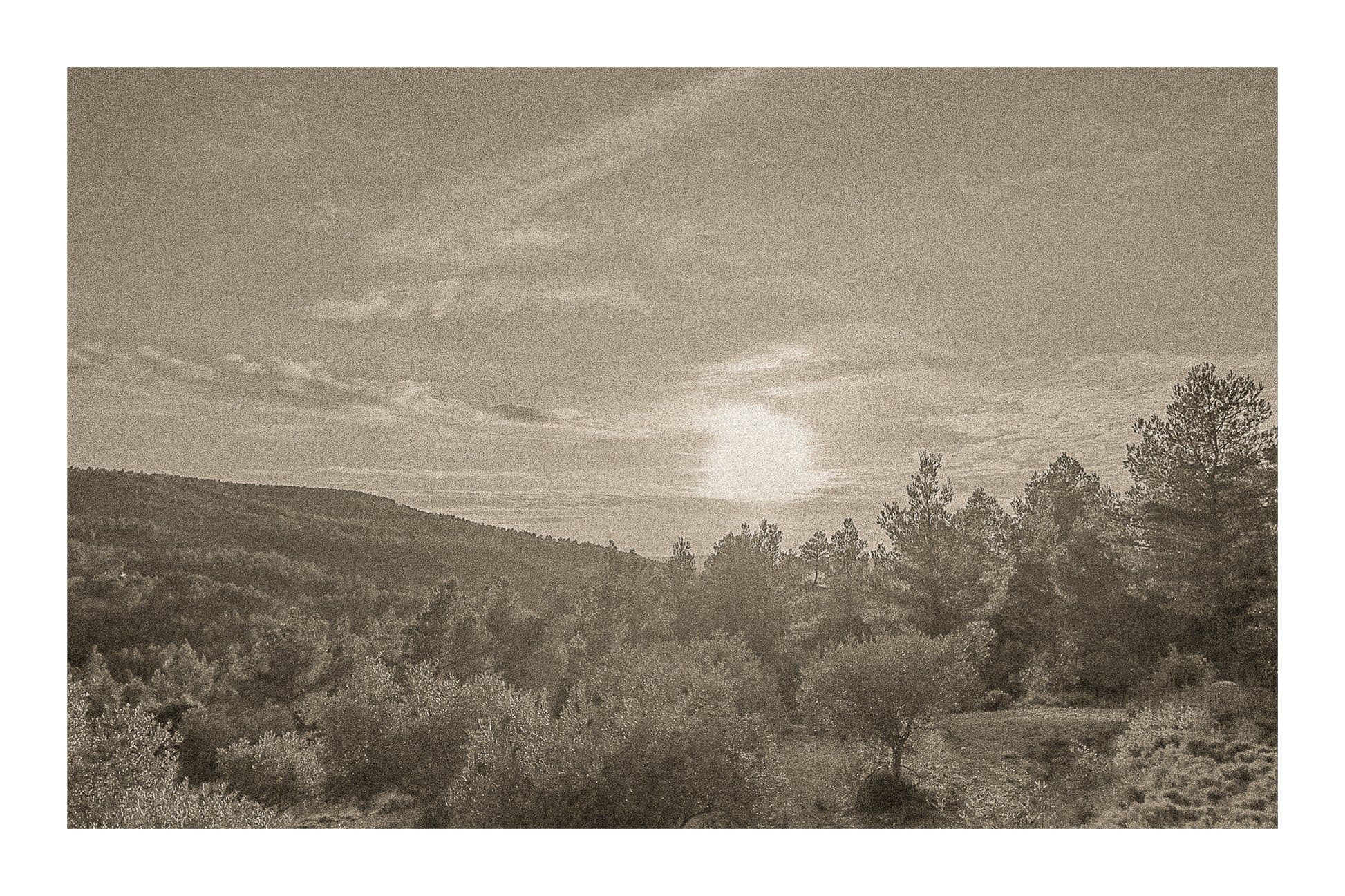 Chemin de garrigue au crépuscule, soleil bas dans un ciel orangé éclairant les buissons et les collines lointaines, vintage avec bordure