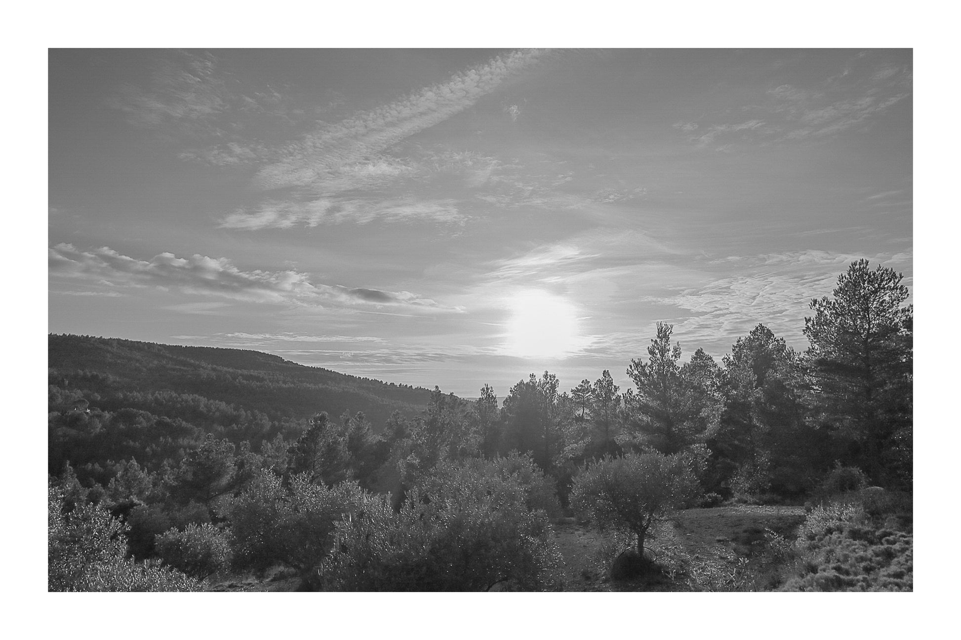 Chemin de garrigue au crépuscule, soleil bas dans un ciel orangé éclairant les buissons et les collines lointaines, noir et blanc avec bordure