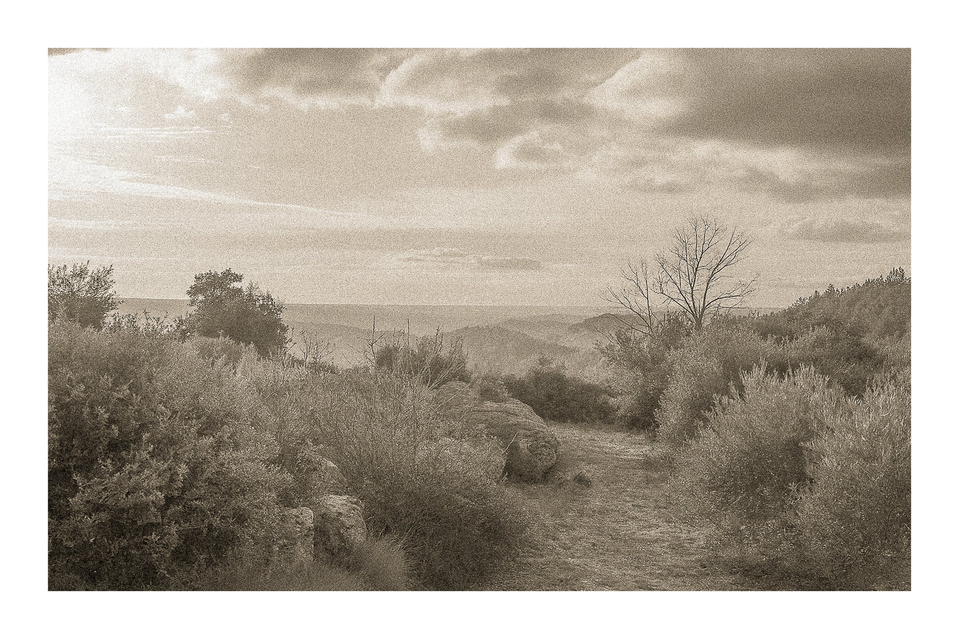 Sentier de garrigue bordé de buissons et de rochers, lumière chaude de fin de journée sur les collines, vintage avec bordure