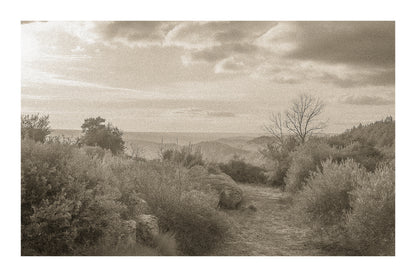 Sentier de garrigue bordé de buissons et de rochers, lumière chaude de fin de journée sur les collines, vintage avec bordure