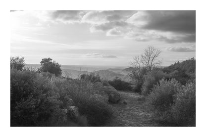 Sentier de garrigue bordé de buissons et de rochers, lumière chaude de fin de journée sur les collines, noir et blanc avec bordure