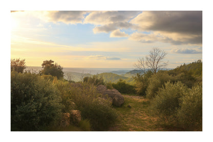 Sentier de garrigue bordé de buissons et de rochers, lumière chaude de fin de journée sur les collines avec bordure