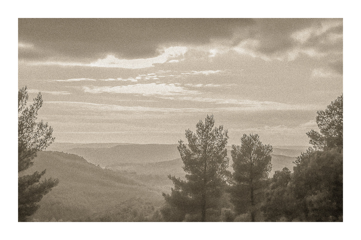 Vue plongeante sur une vallée boisée avec pins en contre-jour et ciel pastel au-dessus de la Sainte-Victoire, vintage avec bordure
