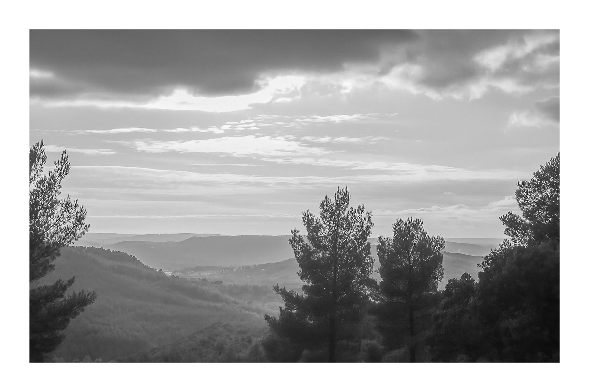 Vue plongeante sur une vallée boisée avec pins en contre-jour et ciel pastel au-dessus de la Sainte-Victoire, noir et blanc avec bordure