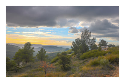 Paysage de garrigue au lever du jour sous de gros nuages, vue sur les collines de la Sainte-Victoire avec bordure