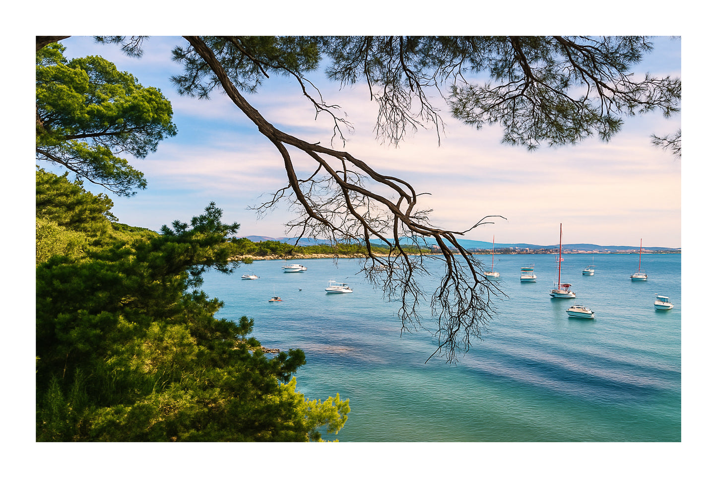 Branches de pin encadrant une baie calme à la presqu’île de Giens, bateaux au mouillage, couleur avec bordure 