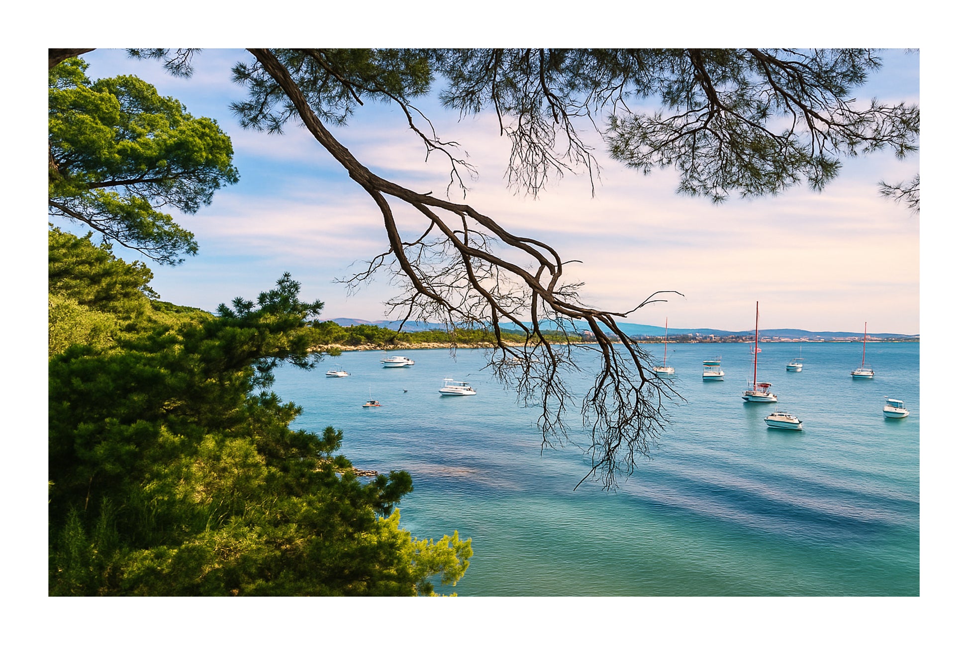 Branches de pin encadrant une baie calme à la presqu’île de Giens, bateaux au mouillage, couleur avec bordure 