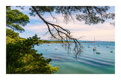 Branches de pin encadrant une baie calme à la presqu’île de Giens, bateaux au mouillage, couleur avec bordure 