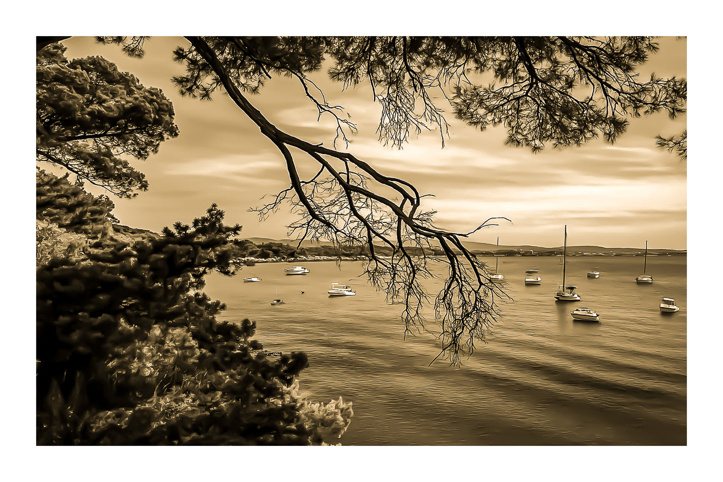 Branches de pin encadrant une baie calme à la presqu’île de Giens, bateaux au mouillage, rendu vintage sépia avec bordure