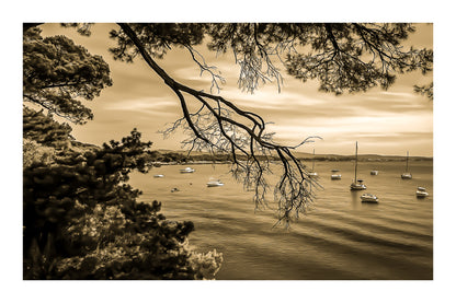 Branches de pin encadrant une baie calme à la presqu’île de Giens, bateaux au mouillage, rendu vintage sépia avec bordure