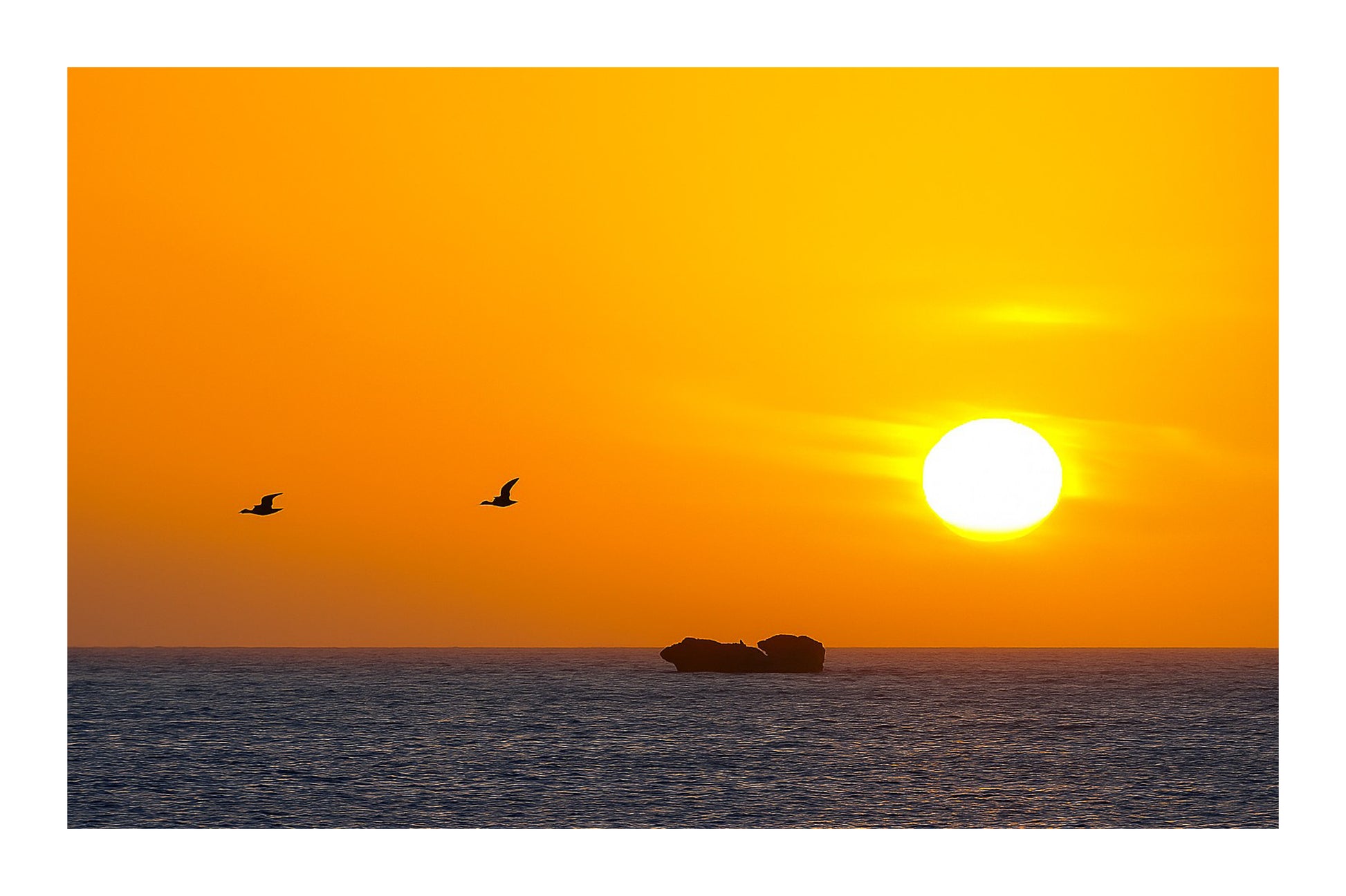 Deux goélands en vol devant un grand soleil couchant orange à l’Aber Wrac’h, au-dessus de l’océan et d’un îlot rocheux avec bordure