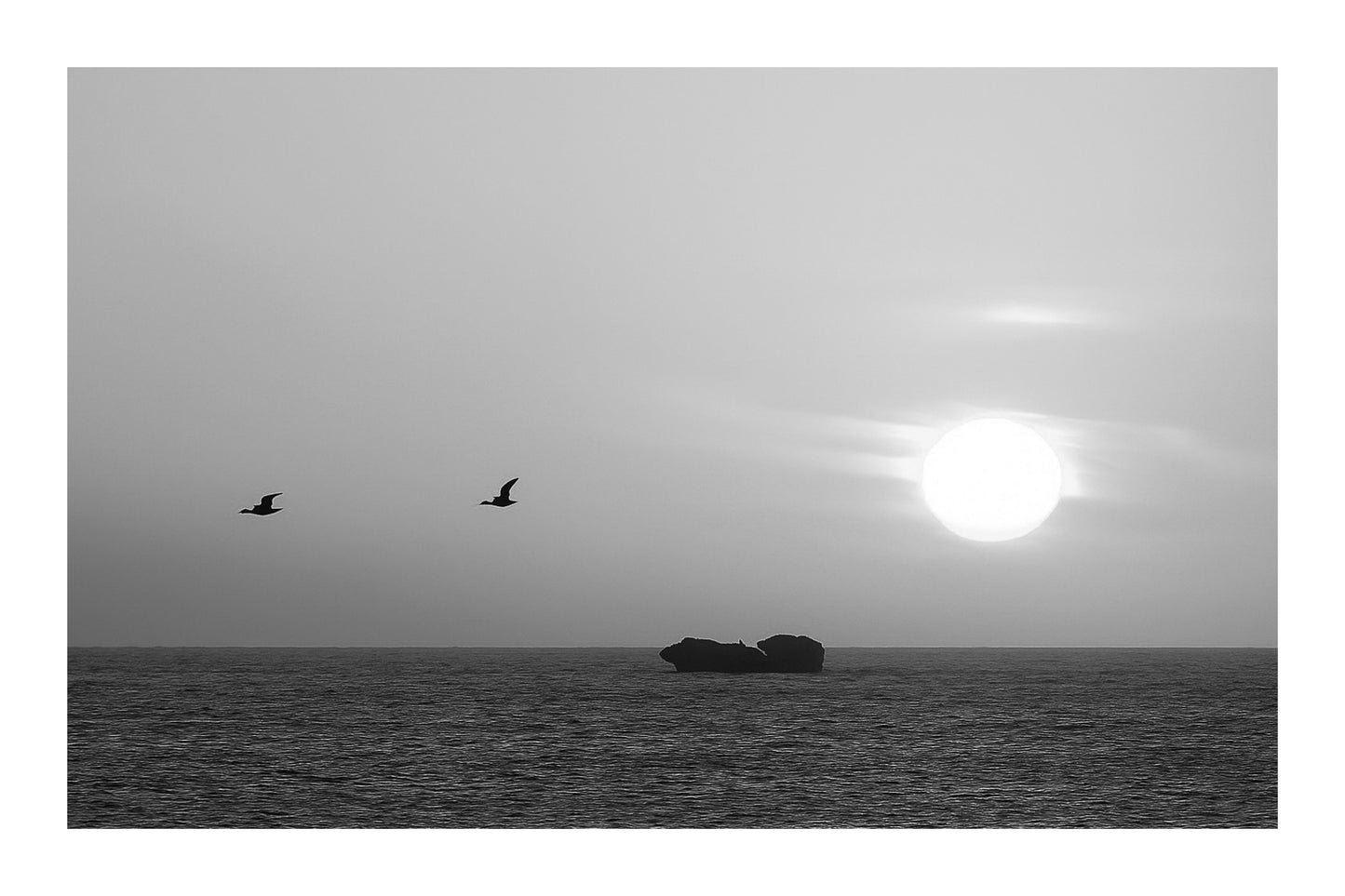 Deux goélands en vol devant un grand soleil couchant orange à l’Aber Wrac’h, au-dessus de l’océan et d’un îlot rocheux, noir et blanc avec bordure