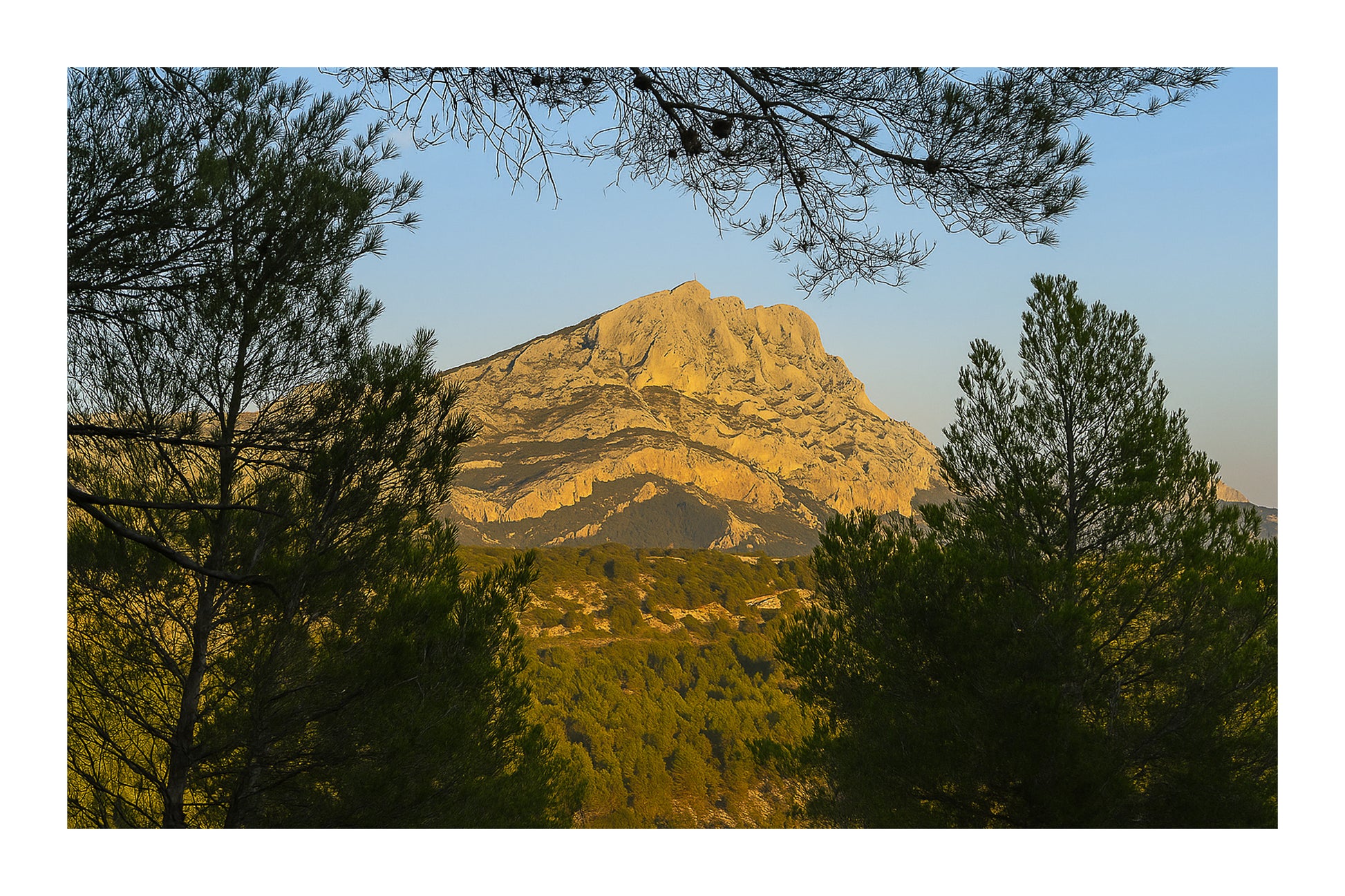 Massif de la Sainte-Victoire baigné de lumière dorée et encadré par des pins à l’avant-plan avec bordure