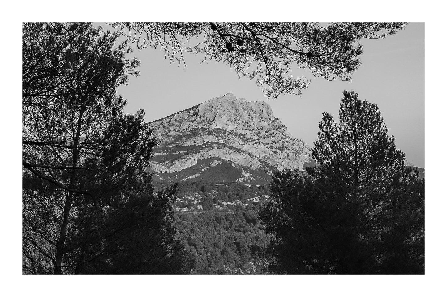 Massif de la Sainte-Victoire baigné de lumière dorée et encadré par des pins à l’avant-plan, noir et blanc avec bordure