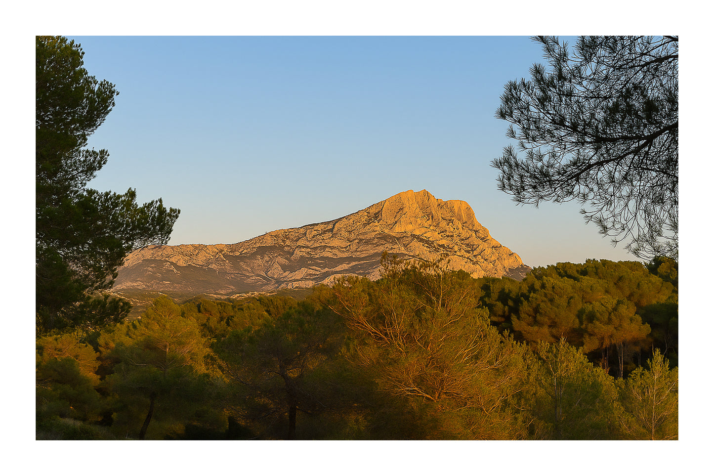 Panorama de la montagne Sainte-Victoire et de la forêt de pins sous une lumière chaude de fin de journée avec bordure