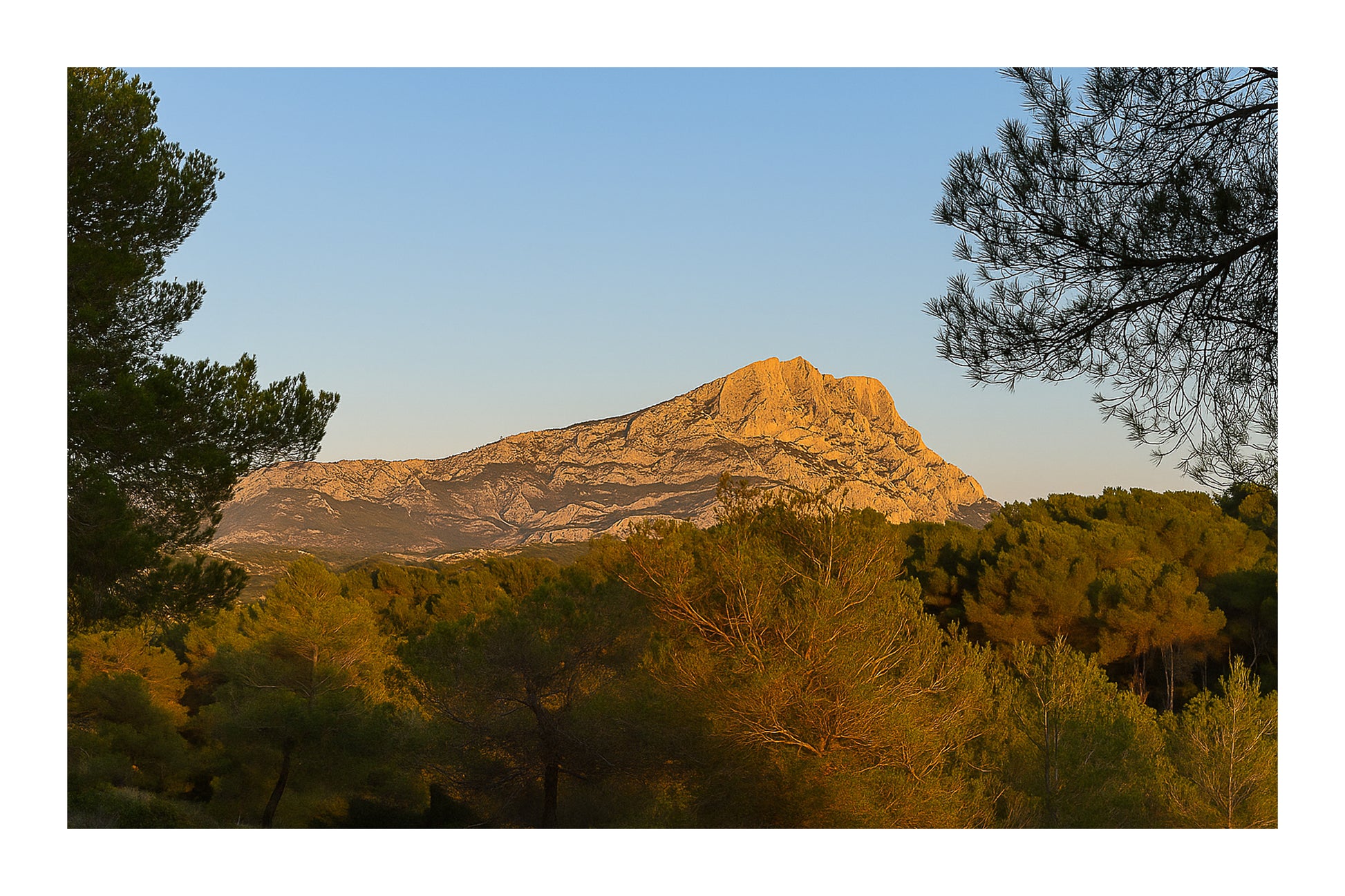 Panorama de la montagne Sainte-Victoire et de la forêt de pins sous une lumière chaude de fin de journée avec bordure
