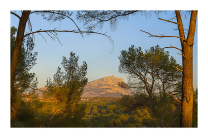 Montagne Sainte-Victoire visible entre les troncs et les branches de pins au soleil déclinant avec bordure