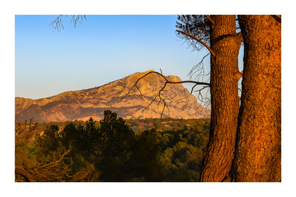 Troncs de pins orangés par le soleil couchant avec la montagne Sainte-Victoire en arrière-plan avec bordure