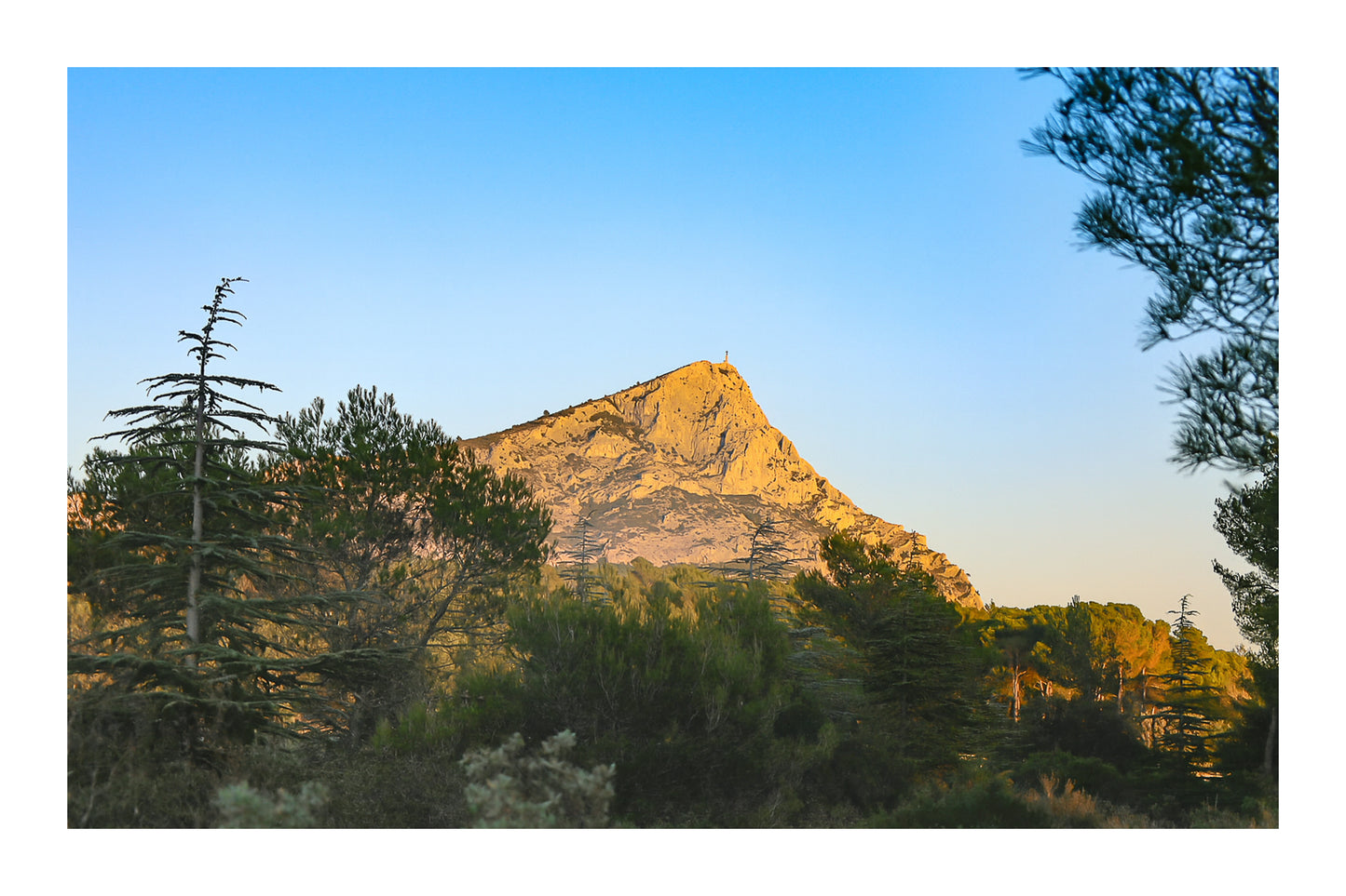 Montagne Sainte-Victoire illuminée par le soleil couchant derrière une forêt de pins en Provence avec bordure