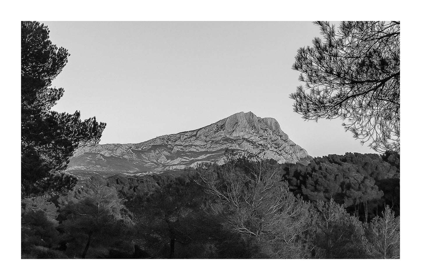 Panorama de la montagne Sainte-Victoire et de la forêt de pins sous une lumière chaude de fin de journée, noir et blanc avec bordure