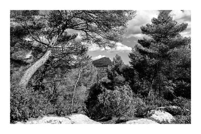 Vue lointaine de la Sainte-Victoire cadrée par des pins et des rochers en premier plan, noir et blanc avec bordure
