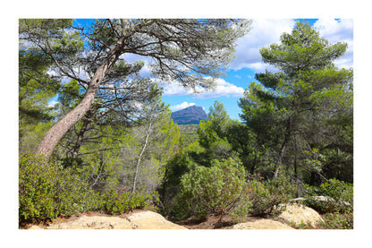 Vue lointaine de la Sainte-Victoire cadrée par des pins et des rochers en premier plan avec bordure