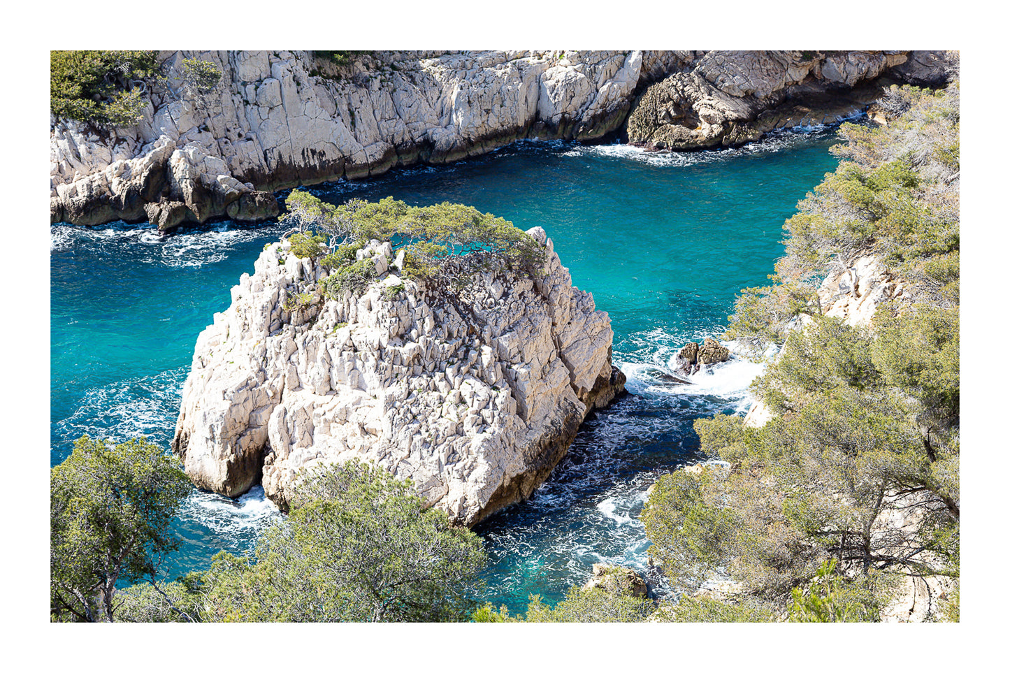 Petit îlot rocheux couvert de pins au centre d’une anse turquoise dans les calanques avec bordure