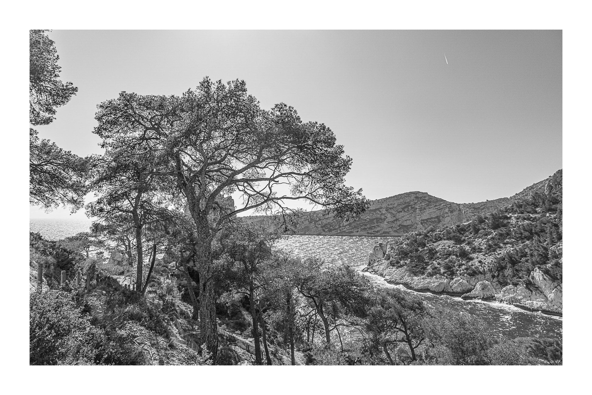 Chemin de randonnée ombragé par des pins avec vue sur une anse bleue des calanques, noir et blanc avec bordure