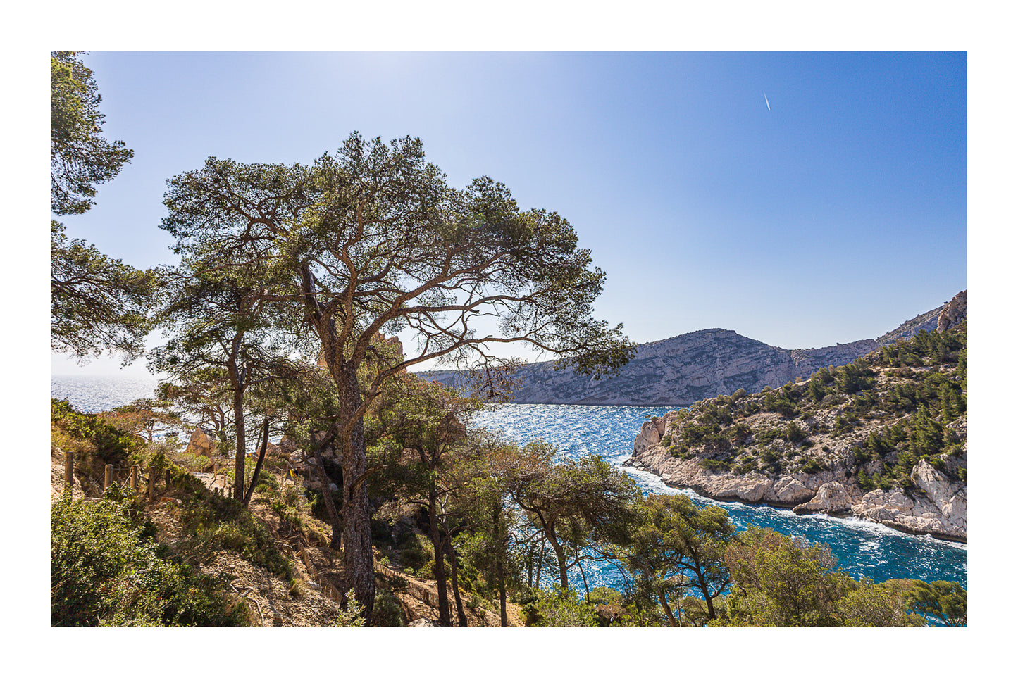 Chemin de randonnée ombragé par des pins avec vue sur une anse bleue des calanques avec bordure